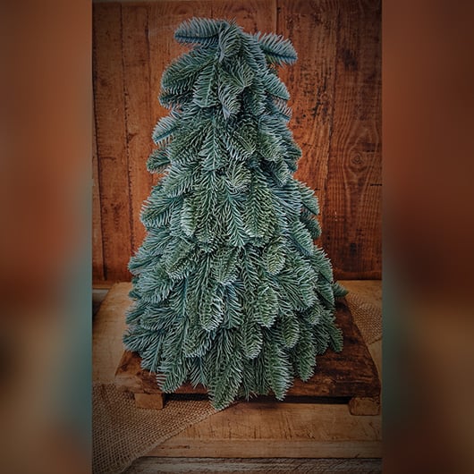 dhs-nobilis-tree-plane