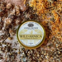 anima-mundi-wild-arnica
