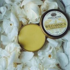Alternative view of WILD ARNICA BALM | Flowers of the Sun