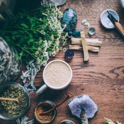 anima-mundi-coconut-cream-3