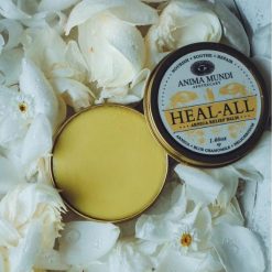 anima-mundi-heal-all-1