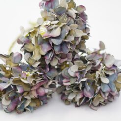dhs-hydrangea-old-bleu-1