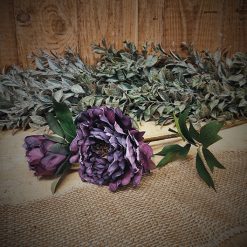 dhs-purple-rose-2