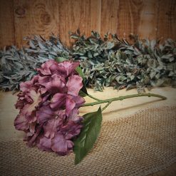 dhs-hydrangea-brownred-2
