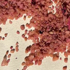 lepaar-damasque-rose-bath-salt-3