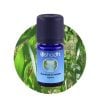 oshadhi-eucalyptus-radiata