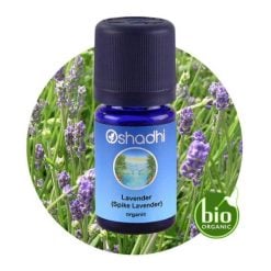 oshadhi-lavender-spike
