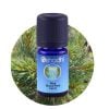 oshadhi-pine-stone-pine