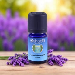 Lavender, Highland (organic)