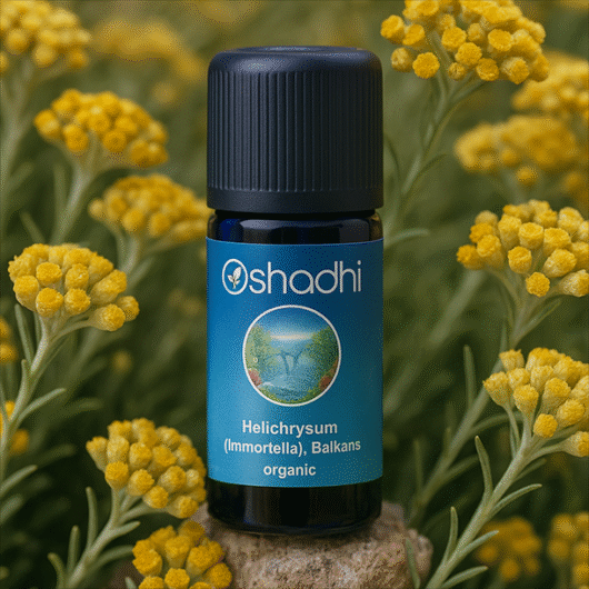 Helichrysum (Immortella), Balkans organic