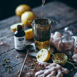 anima-mundi-cold-cocktail-2