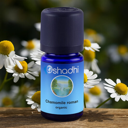 Chamomile, Roman (organic)