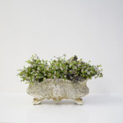 dhs-ceanothus-blue-sapphire