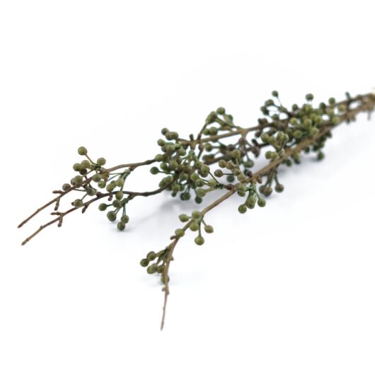 dhs-green-berry-branches