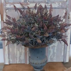 dhs-sage-lavender-in-vaze-1