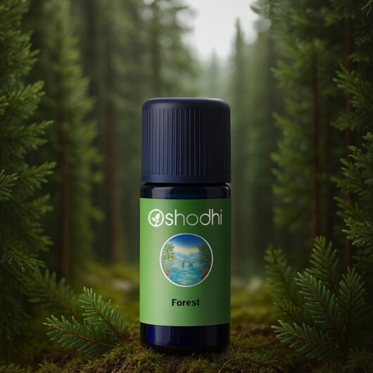 Forest / Breathe Clear