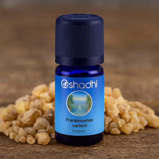 Frankincense, Carterii