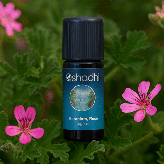 Geranium, Rose (organic)