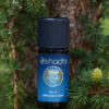 Cedar, Himalaya