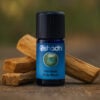 Palo Santo (Holy Wood)