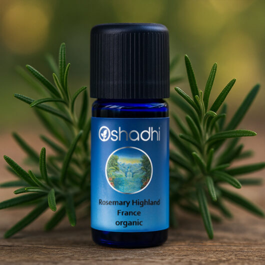 Rosemary Highland, France (organic)