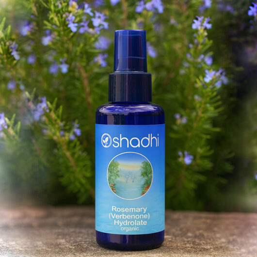 Rosemary, Verbenone Hydrolate
