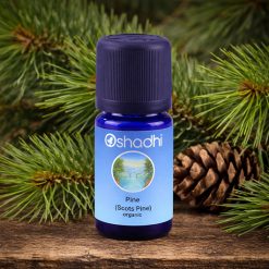 Pine, Scots (organic)