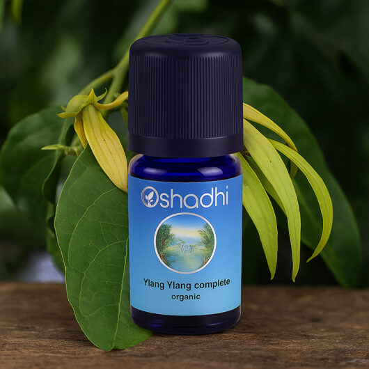 Ylang Ylang, Complete (organic)