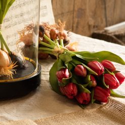 dhs-tulpenschoof-rood-3