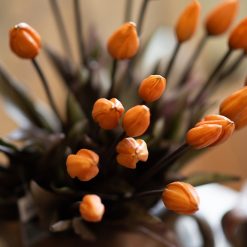 dhs-bunch-of-rust-colored-tulips-4
