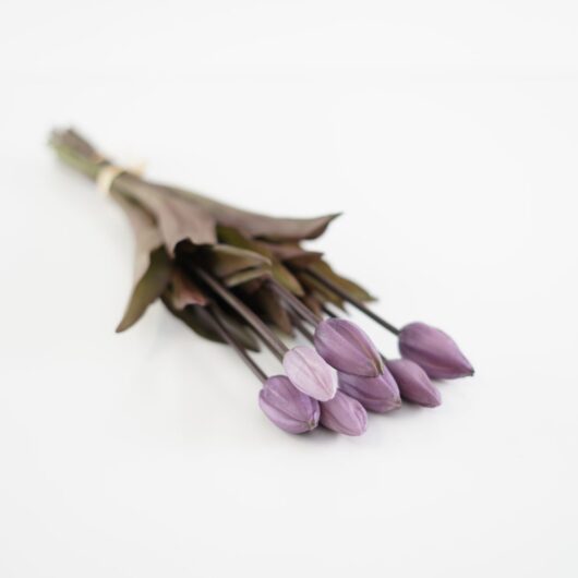 dhs-bunch-of-purple-tulips