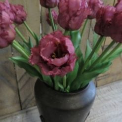 dhs-home-living-parrot-tulips-purple1