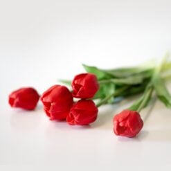 dhs-red-tulips