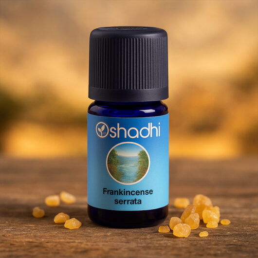 Frankincense, Serrata