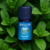 Mint (Nana Mint) Organic