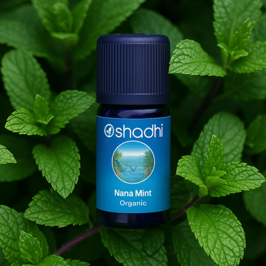 Mint (Nana Mint) Organic