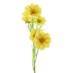dhs-cosmos-bibi-yellow-new