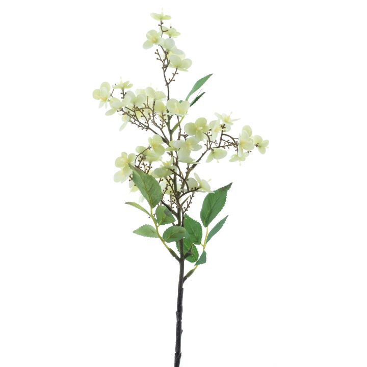 wild-rose-green-white-new