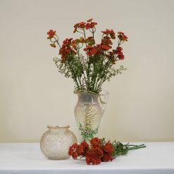 dhs-achillea-pink-red