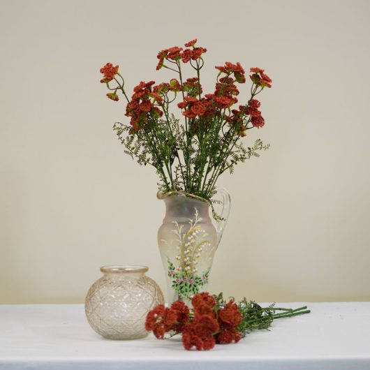 dhs-achillea-pink-red