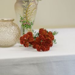 dhs-achillea-pink-red-detail
