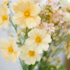 dhs-bouquet-geraldine-detail-new