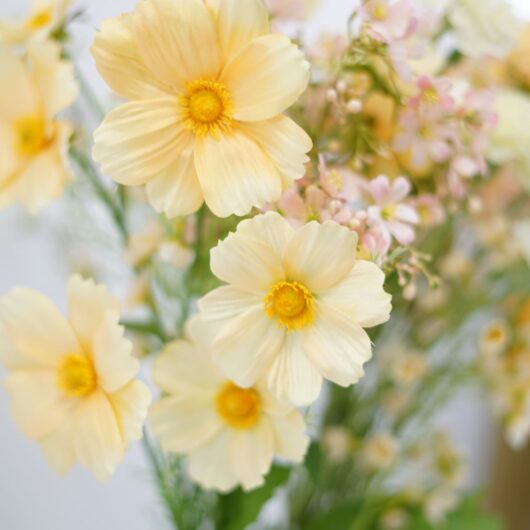 dhs-bouquet-geraldine-detail-new