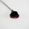 dhs-calla-purpura-1
