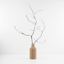 dhs-cordata-twig-new