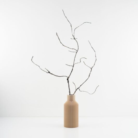 dhs-cordata-twig-new