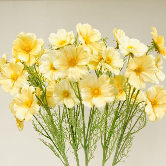 dhs-cosmos-bibi-yellow-detail