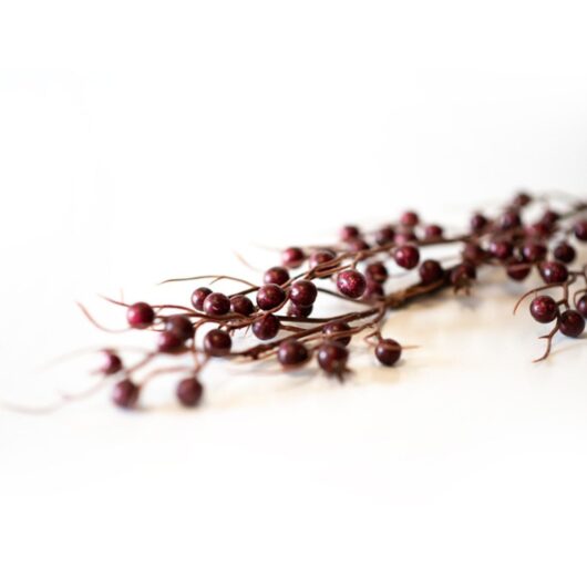dhs-cranberry-spray-burgundy