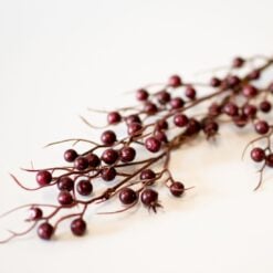 dhs-cranberry-spray-burgundy-new