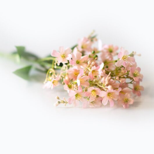 dhs-daphne-mille-fleur-pink